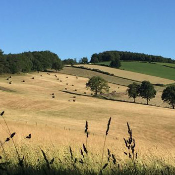 trail en Aveyron